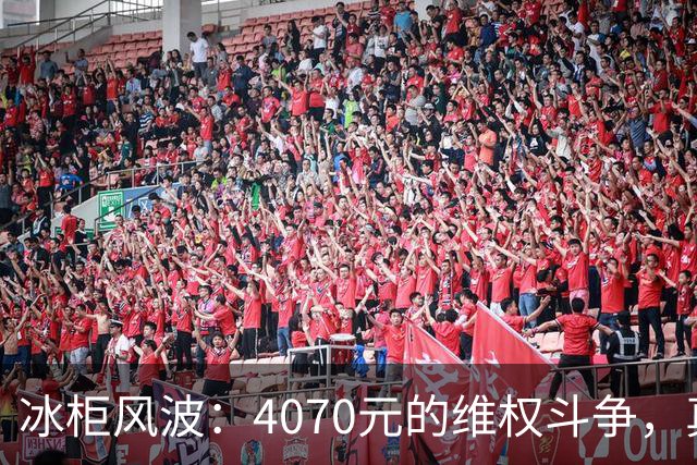 冰柜风波：4070元的维权斗争，真相竟然如此冰冷！