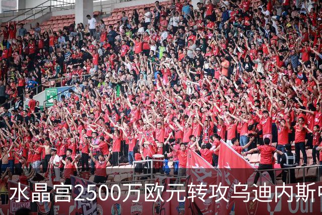 水晶宫2500万欧元转攻乌迪内斯中卫索莱，奥多涅斯体检出问题
